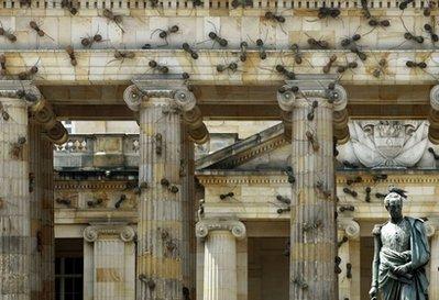 post-17873-035000800 1294761247_thumb.jpg