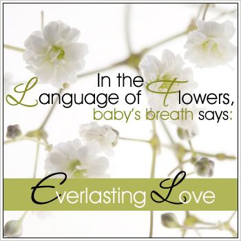 post-19037-088558900 1295014449_thumb.jpg