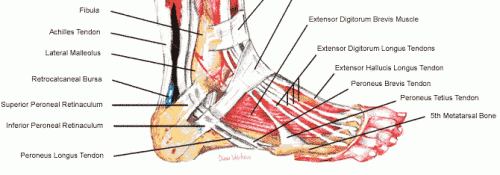 post-17729-061922100 1296567509_thumb.gif