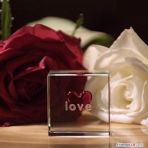 post-19037-042875200 1297610765_thumb.jpg