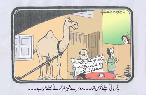 post-17873-000092300 1290687233_thumb.jpg