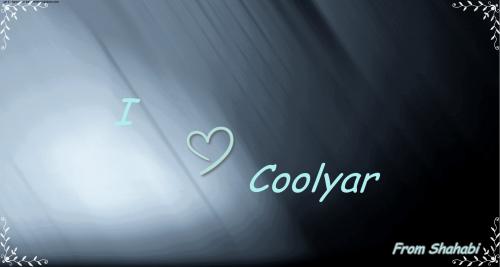 post-17873-004129600 1289928893_thumb.jpg