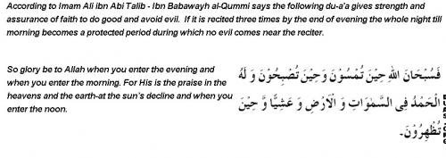 post-20821-075952900 1291743326_thumb.jpg