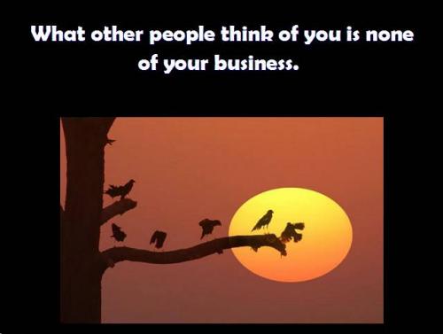 post-20879-037271400 1293561976_thumb.jpg